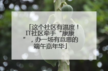 这个社区有温度！IT社区牵手“康康”，办一场有意思的端午嘉年华